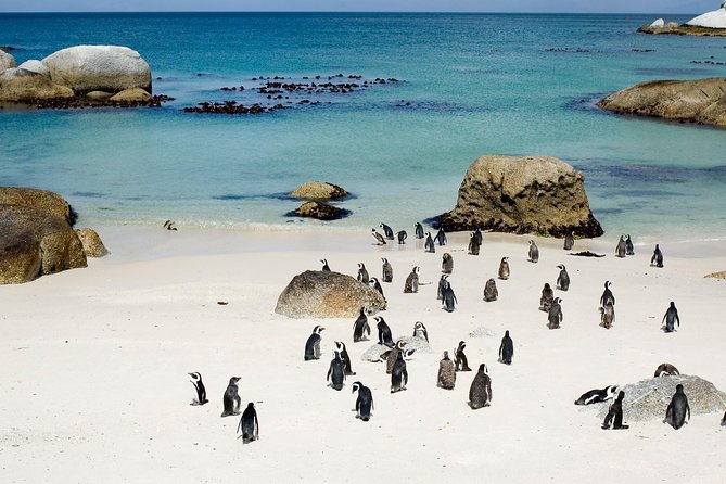 Private Cape Peninsula + Kirstenbosch Garden Full Day Guided Tour - Simons Town Drive-Through: naval seaside town atmosphere on the way to penguins