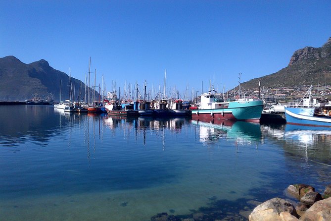 Private Cape Peninsula + Kirstenbosch Garden Full Day Guided Tour - Boulders Beach Penguin Colony: plan for extra time and extra fees