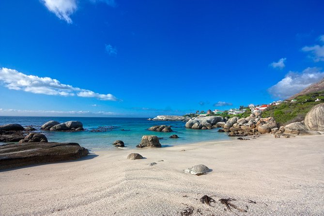 Private Cape Peninsula + Kirstenbosch Garden Full Day Guided Tour - Cape Point Nature Reserve: lighthouse views with a walking choice