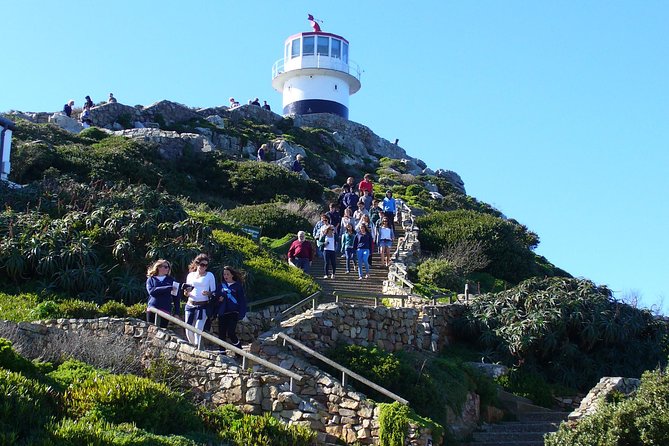 Private Cape Peninsula Tour - What makes the private guide worth it