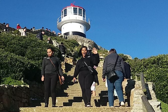 Private Cape Point Penguins Tour-Exploring the Cape Peninsula F/D - Cape Point Nature Reserve: wildlife sightings and lighthouse history