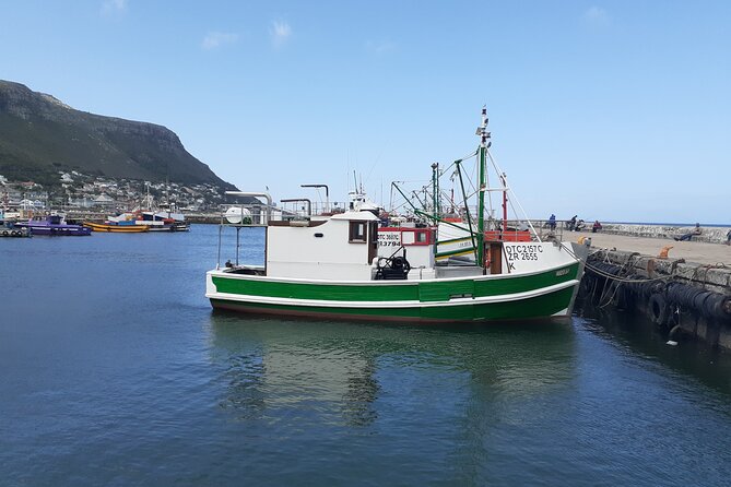 Private Cape Point / Peninsula Tour - Comfort and timing: how the day will feel