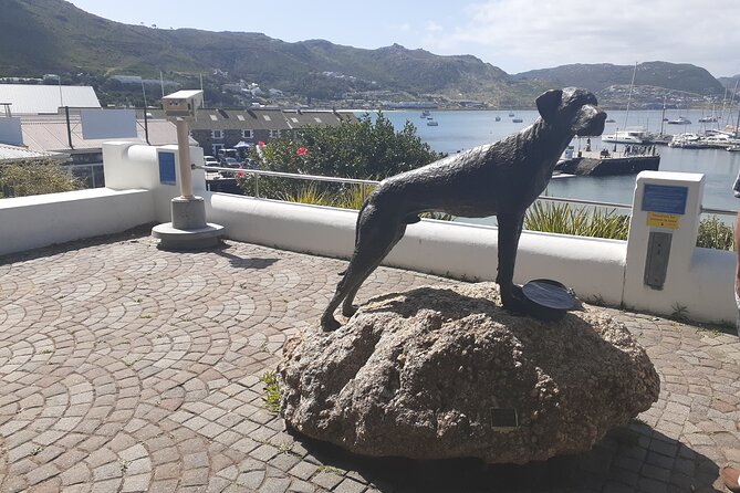 Private Cape Point / Peninsula Tour - Price and value: what you are really paying for