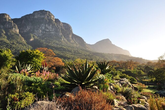 Private Cape Town City Tour table Mountain with wine tasting - Kirstenbosch Botanical Garden: Table Mountain’s Biomes in One Place