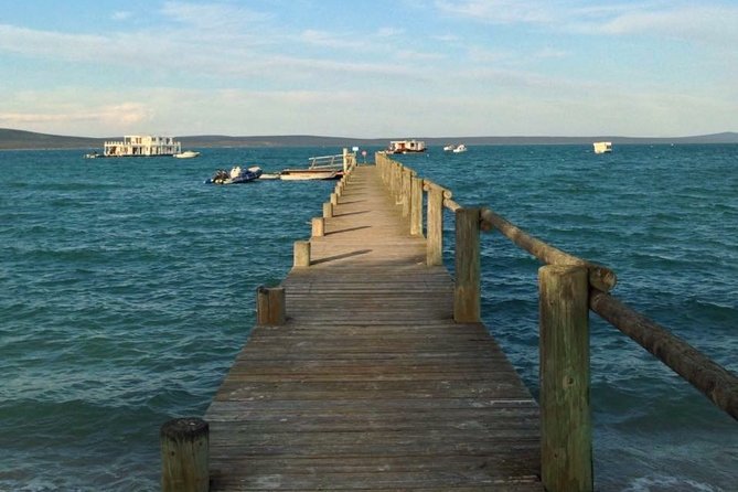 Private Cape Towns West Coastal Tour with Quad Bike - Atlantis dunes: the 3-hour ride that feels like a different planet