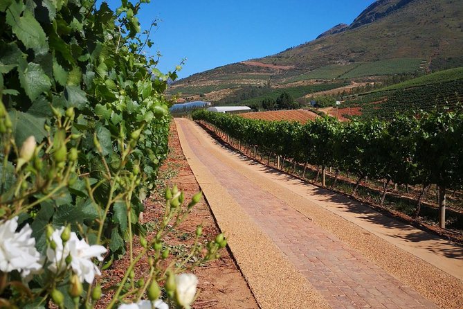 Private Cape Winelands from Stellenbosch OR Franschhoek OR Paarl - Why this private Cape Winelands day feels efficient (and not rushed)