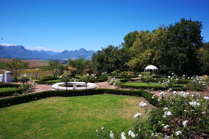 Private Cape Winelands from Stellenbosch OR Franschhoek OR Paarl - Stellenbosch Wine Routes plus the oldest street general store