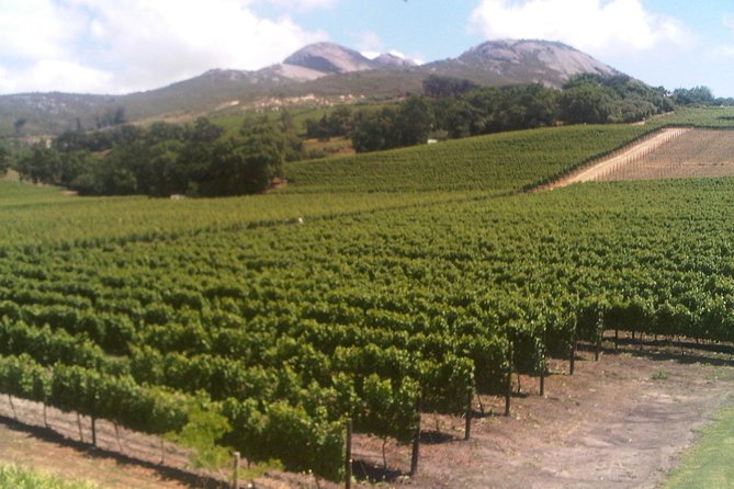 Private Cape Winelands from Stellenbosch OR Franschhoek OR Paarl - Huguenot Memorial Monument and the 4-house museum pass-by in Stellenbosch