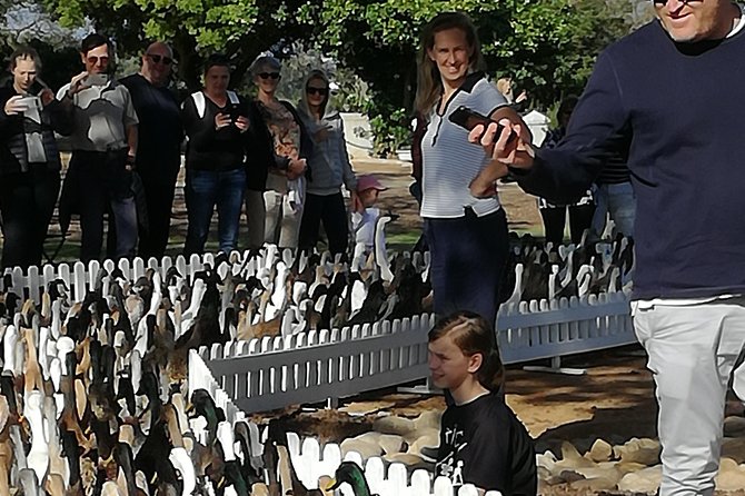 Private Cape Winelands Guided Full Day Tour from Cape Town - Fairview Wine and Cheese: goat stories and pairing logic