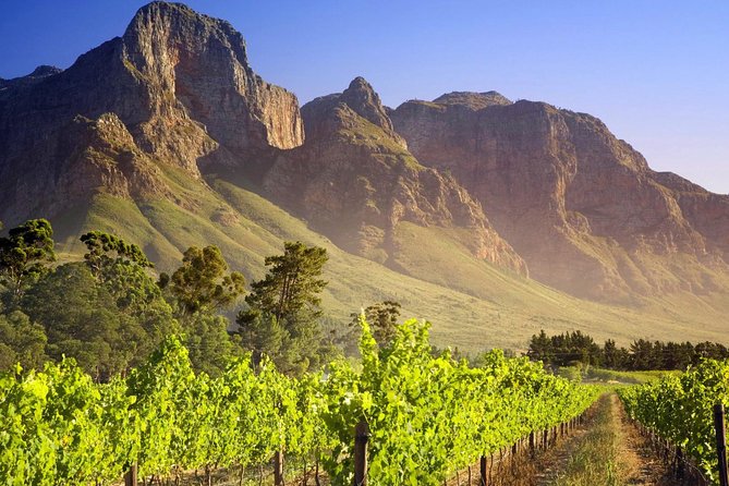 Private Cape Winelands Guided Full Day Tour from Cape Town - Driving past the Mandela link and enjoying French Corner vibes