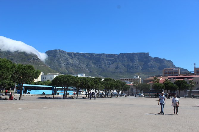 Private City Tour Table Mountain + Cable Car Ticket Camps Bay H/D - Table Mountain cable car: the big picture view and what to plan for