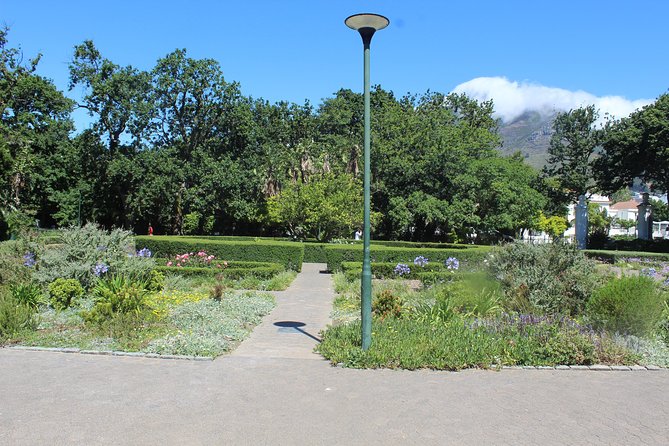 Private City Tour Table Mountain + Cable Car Ticket Camps Bay H/D - Company’s Gardens: a calm break with birds and art