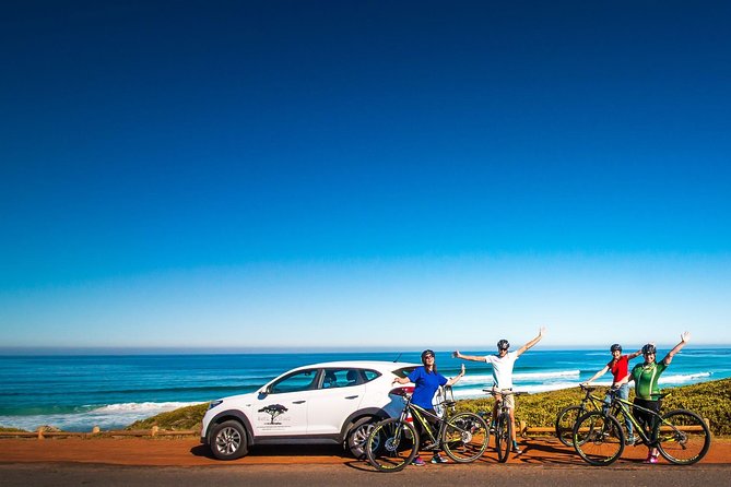 Private Cycling Tour of The Cape Peninsula from Cape Town - Cape Peninsula by bike and foot, without the crowds