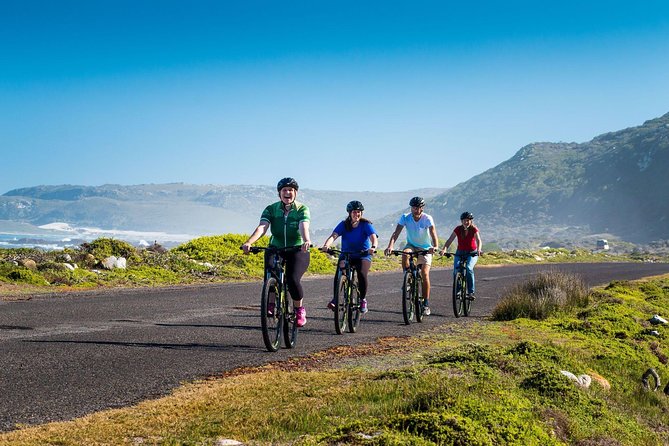 Private Cycling Tour of The Cape Peninsula from Cape Town - Cape of Good Hope and Cape Point: cliffs, Diaz Beach views, and a real sense of danger
