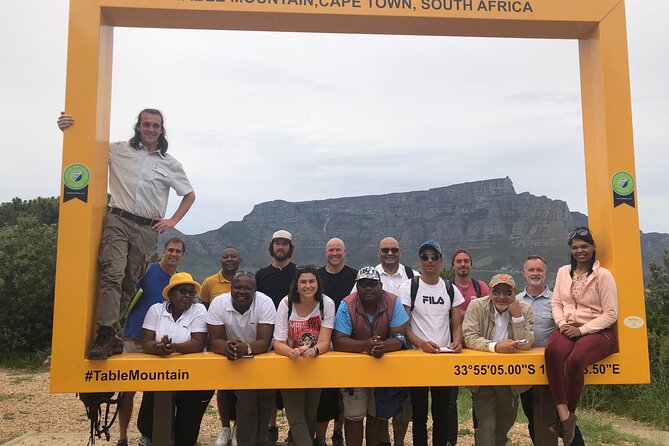 Private Day tour of the Cape. Our reviews show why people book! - First stop: Camps Bay, sea air, and a smooth start to the day