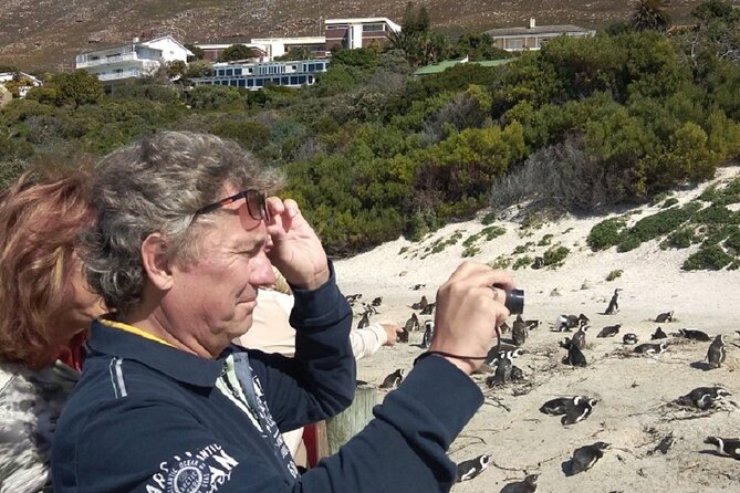 Private Day tour of the Cape. Our reviews show why people book! - Imhoff Farm: included craft and food time with a calmer finish