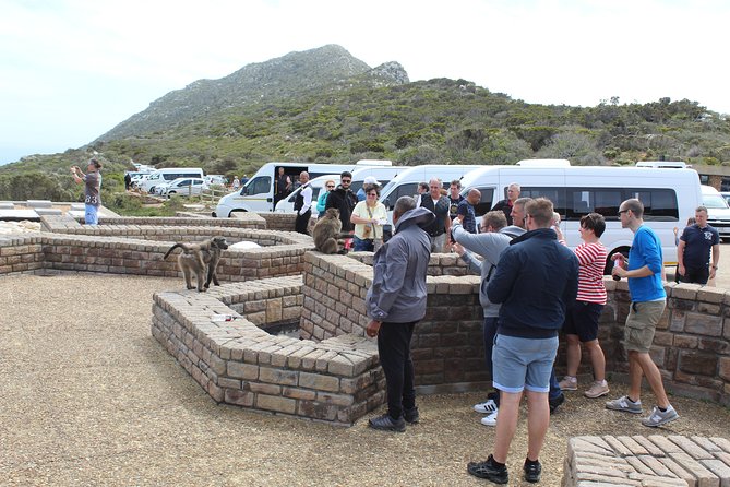 Private Day Tour to Cape of Good Hope Penguins Inc Entry Tickets from Cape Town - Hout Bay: art stalls, a harbor walk, and the seal ferry option