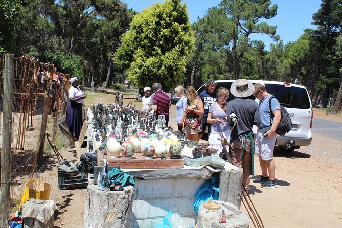 Private Day Tour to Cape of Good Hope Penguins Inc Entry Tickets from Cape Town - How the day actually feels: 8 hours, private pace, and smart stop lengths