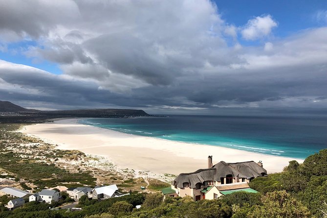 Private Day Tour to Cape Point , Penguins, Wine or Beer Tasting - Camps Bay and Clifton: Beaches, Twelve Apostles Views, and Fancy Neighborhood Energy