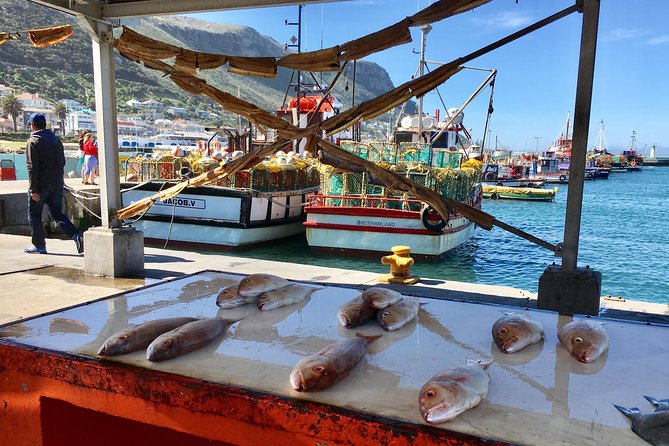 Private Day Tour to Cape Point , Penguins, Wine or Beer Tasting - Chapmans Peak Drive: A Short Pause on a World-Class Road