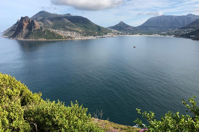 Private Day Tour to Cape Point , Penguins, Wine or Beer Tasting - Hout Bay and Noordhoek Beach: Coastline Variety in One Sweep
