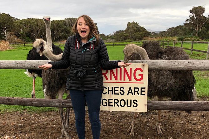 Private Day Tour to Cape Point , Penguins, Wine or Beer Tasting - Cape Point Ostrich Farm: The Fun Stop That Feels Like a Break, Not Another Box