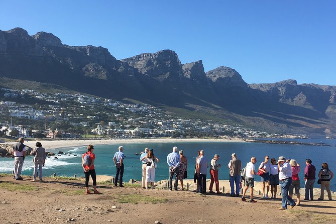 Private day tour to the Cape of Good Hope - Key Highlights You’ll Care About