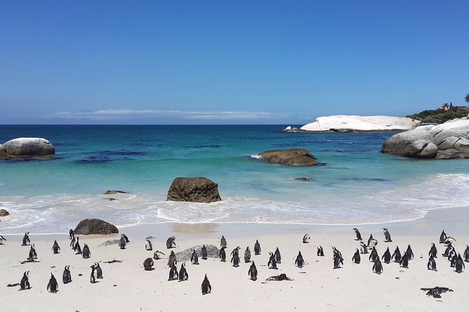 Private day tour to the Cape of Good Hope - Noordhoek Beach Photo Stop: Quick, Flat, and Useful