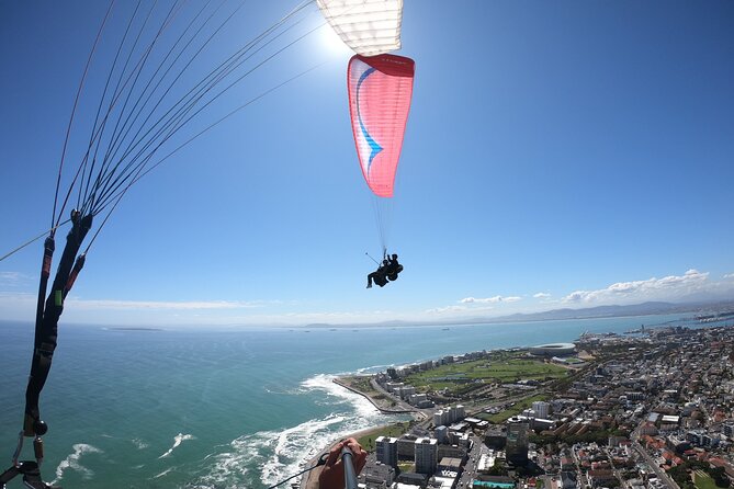 Private Exclusive Tandem Paragliding Experience in Cape Town - The Pre-Flight Moment: Quick Setup, Then You’re Gone