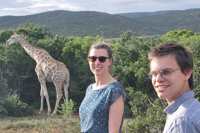 Private Full-Day Addo Elephant Park & Giraffe Walk - Key highlights to look for