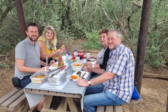 Private Full-Day Addo Elephant Park & Giraffe Walk - Addo Elephant National Park morning safari, your main wildlife window