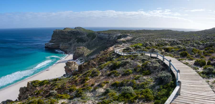 PRIVATE FULL DAY CAPE PENINSULA TOUR - Hout Bay Seals and the Seal Island Choice