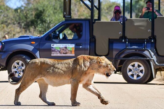Private Full Day Safari l Kruger National Park from Hazyview or Skukuza - Key things you’ll notice on this Kruger safari