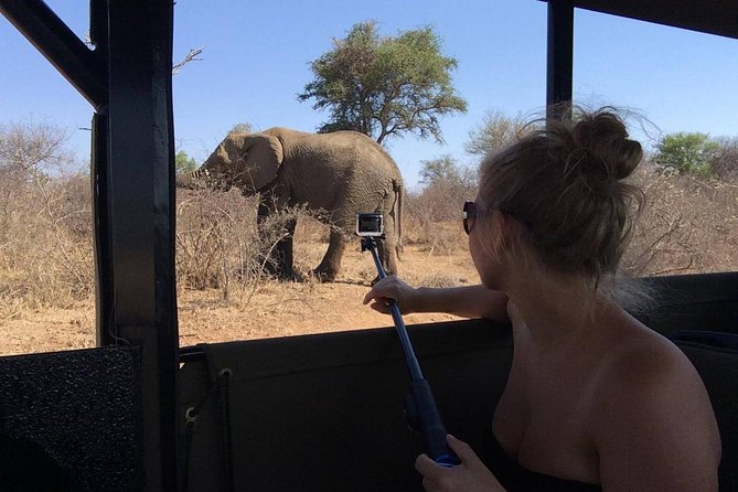 Private Full Day Safari l Kruger National Park from Hazyview or Skukuza - Food, water, and what you need to bring for a smooth 10 hours