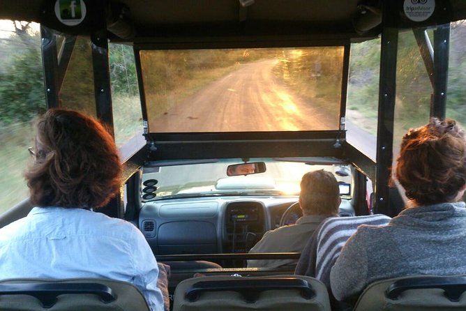 Private Full Day Safari l Kruger National Park from Hazyview or Skukuza - Price and value: how the $454.36 per group really works