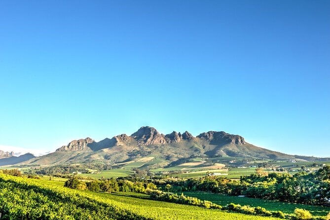 Private Full Day Stellenbosch Wine Tour - Cape Winelands Day, Without the Transport Headache