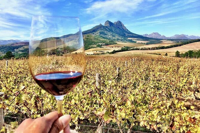 Private Full Day Stellenbosch Wine Tour - Delaire Graff Estate: Scenic Luxury With a Winery-Day Feel