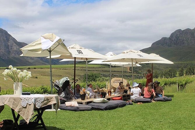 Private Full Day Stellenbosch Wine Tour - Tokara Wine Estate: Another Tasting Stop to Round Out Your Day