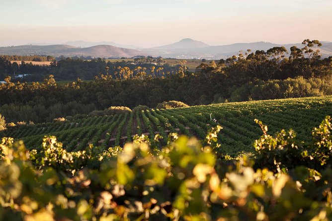 Private Full Day Stellenbosch Wine Tour with Pick Up and Drop Off - Key things to know before you go