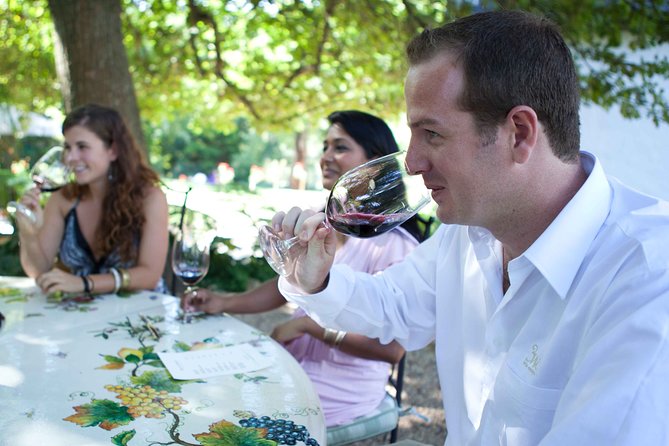 Private Full Day Stellenbosch Wine Tour with Pick Up and Drop Off - The guides make or break the experience