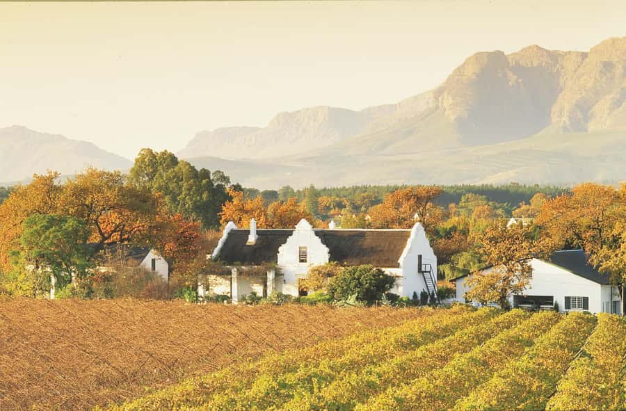 Private Full-Day Winelands Tour in Stellenbosch - Stellenbosch vineyards, town orientation, then two estates with cheese pairing