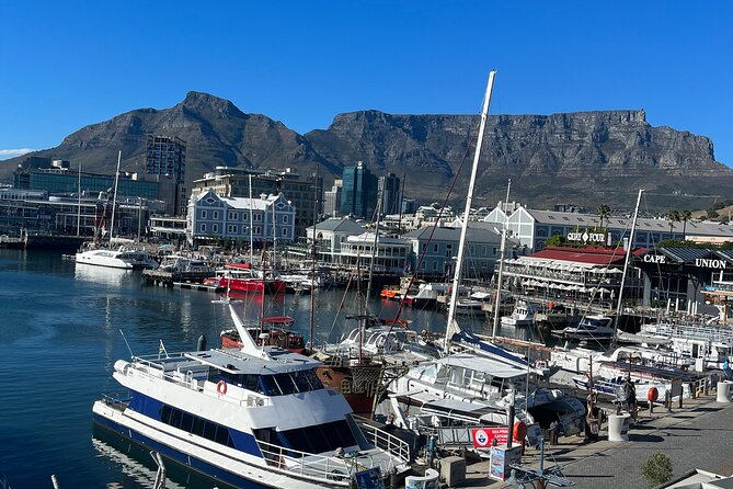 Private Guided Tour in Cape of Good Hope and Table Mountain - Table Mountain by cable car: the ticket you should plan for first