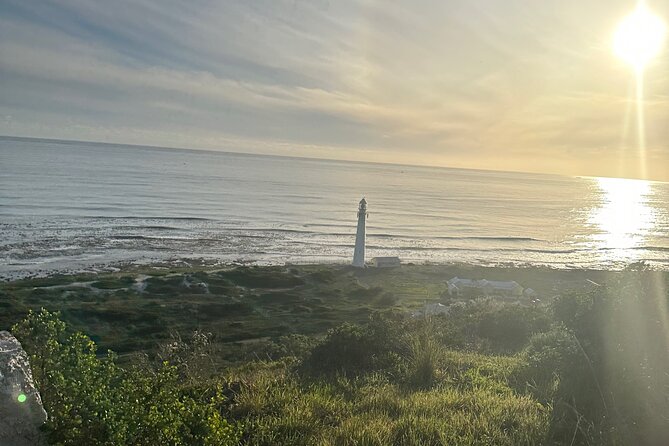 Private Guided Tour in Cape of Good Hope and Table Mountain - Noordhoek Farm Village: a proper break with coffee and crafts