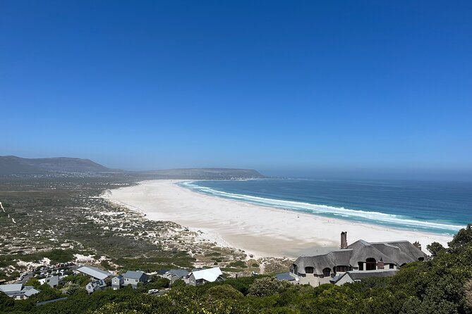 Private Guided Tour in Cape of Good Hope and Table Mountain - Jubilee Square and Just Nuisance: a quirky stop with a story