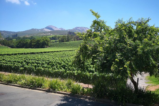 Private Half DayTour:Cape Winelands, Stellenbosch from Cape Town - Your guide matters, and these names keep coming up