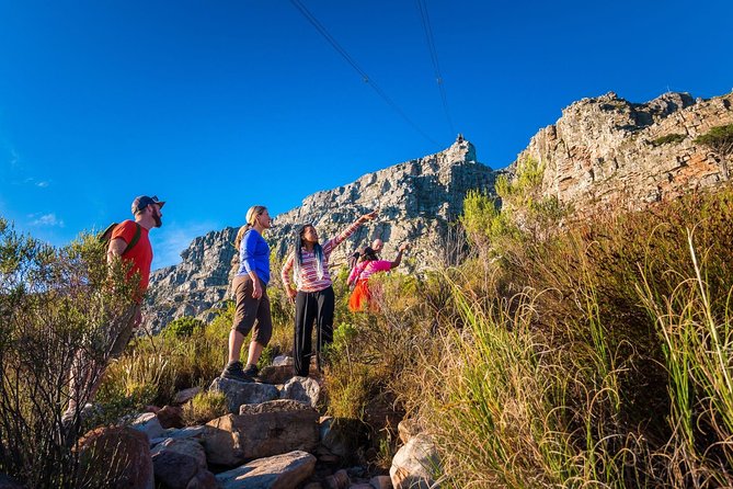 Private Hiking Tour of Table Mountain - Key things I’d zero in on