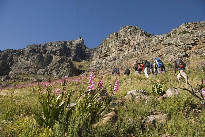 Private Hiking Tour of Table Mountain - Pick your route: cable car plateau stroll or a more strenuous climb