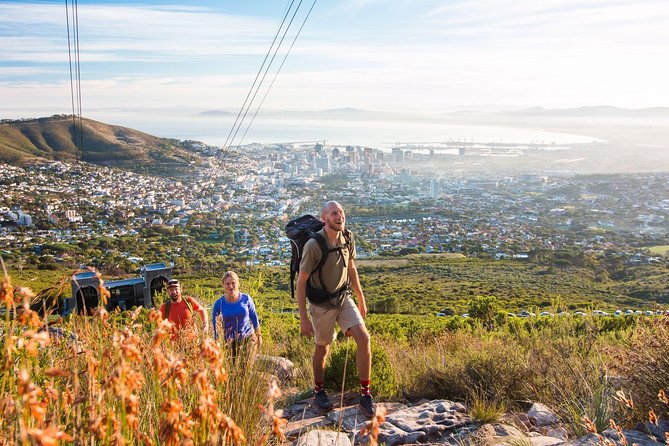Private Hiking Tour of Table Mountain - The real value behind $253.96 per person