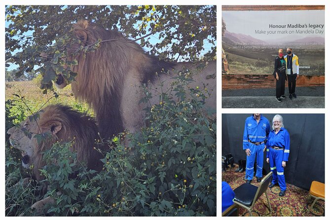 Private Johannesburg and Pretoria Tour - Comfort Counts: Air-Conditioned Car and WiFi On Board