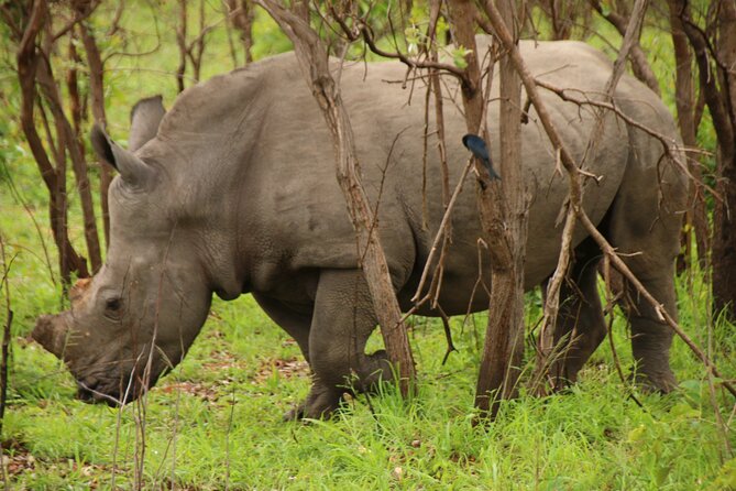 Private Kruger Park Safari and Panorama Route - What you should pack for open-vehicle Kruger time and viewpoint stops